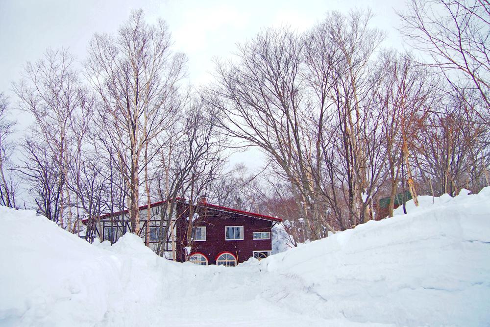 Annupuri Oasis Lodge Нісеко Екстер'єр фото